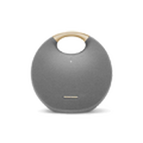 Portable & Home Speakers